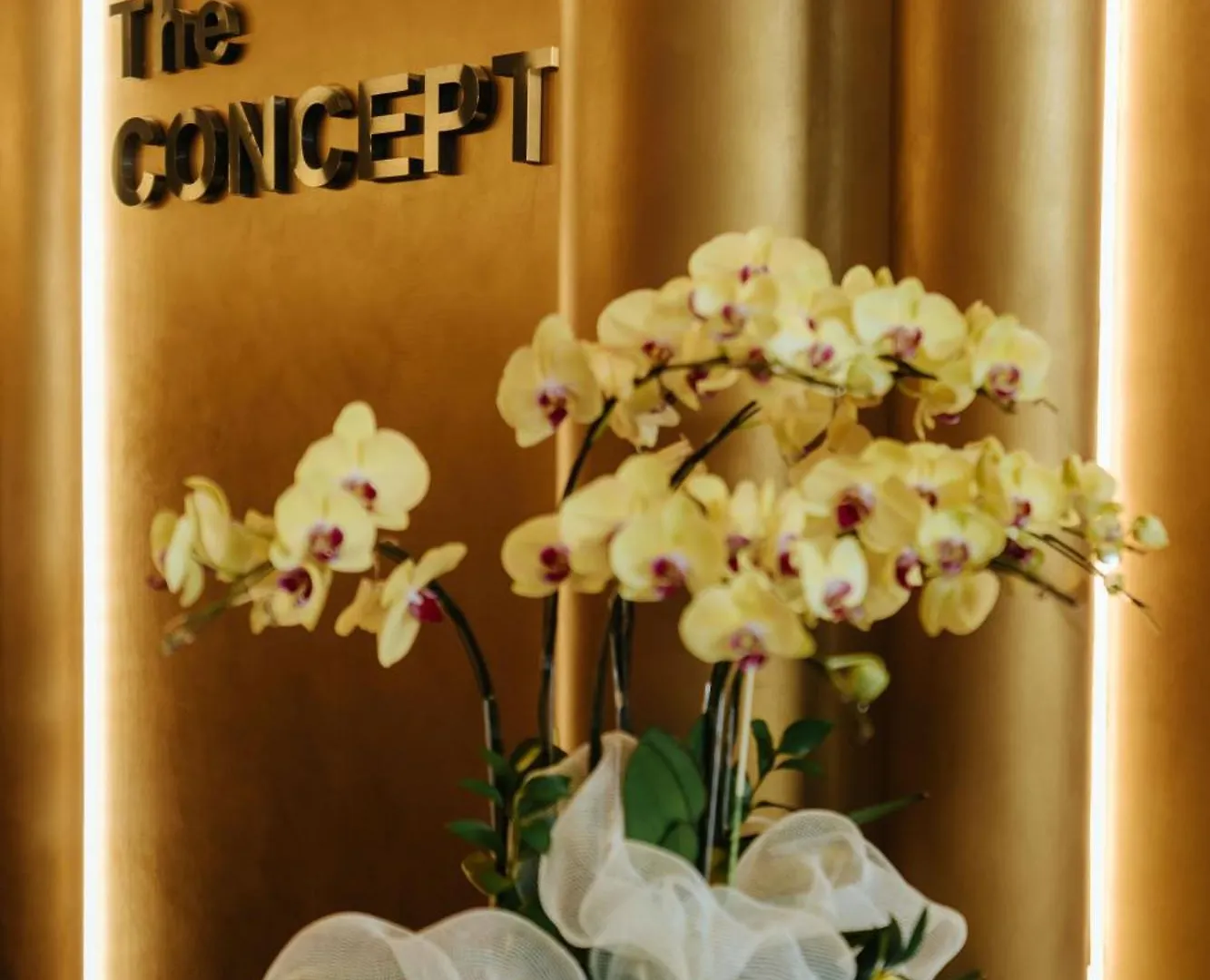 The Concept Hotel- City Center Ho-Chi-Minh-Stadt Hotel